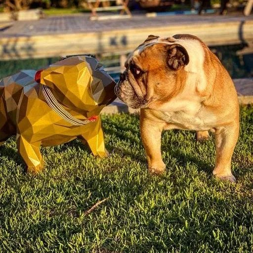 Real dog 9